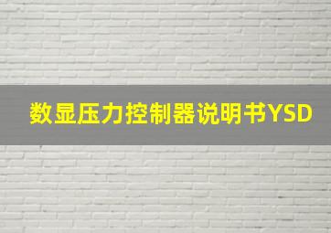 数显压力控制器说明书YSD