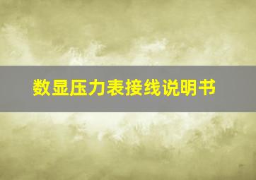 数显压力表接线说明书