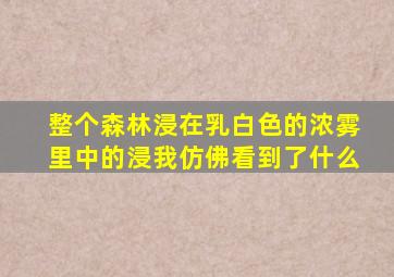 整个森林浸在乳白色的浓雾里中的浸我仿佛看到了什么