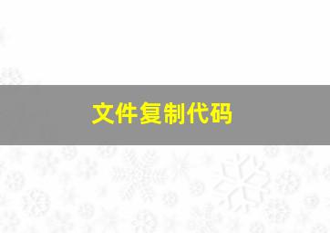 文件复制代码