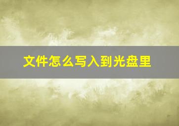 文件怎么写入到光盘里