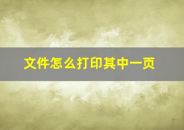 文件怎么打印其中一页