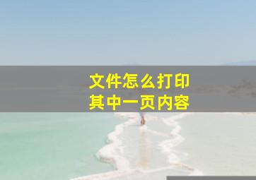 文件怎么打印其中一页内容