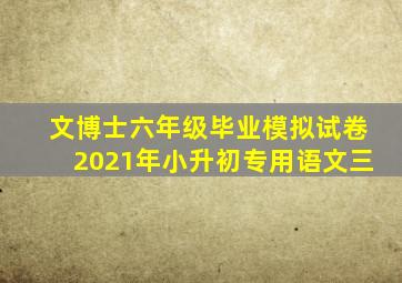 文博士六年级毕业模拟试卷2021年小升初专用语文三