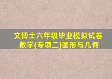 文博士六年级毕业模拟试卷数学(专项二)图形与几何