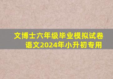 文博士六年级毕业模拟试卷语文2024年小升初专用