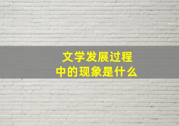 文学发展过程中的现象是什么