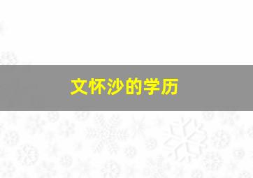 文怀沙的学历