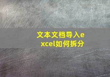 文本文档导入excel如何拆分