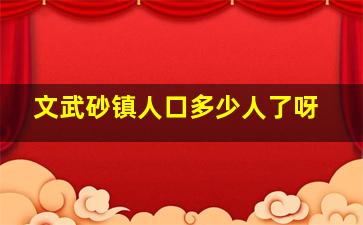 文武砂镇人口多少人了呀