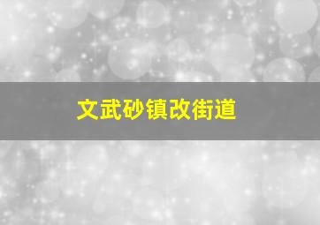 文武砂镇改街道