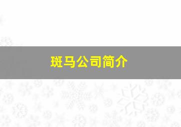 斑马公司简介