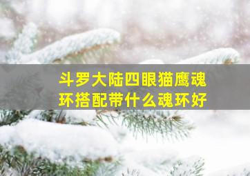 斗罗大陆四眼猫鹰魂环搭配带什么魂环好