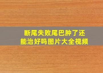 断尾失败尾巴肿了还能治好吗图片大全视频