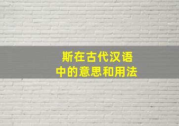 斯在古代汉语中的意思和用法