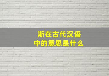 斯在古代汉语中的意思是什么