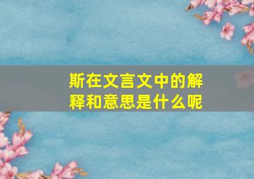 斯在文言文中的解释和意思是什么呢