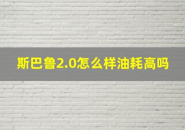 斯巴鲁2.0怎么样油耗高吗