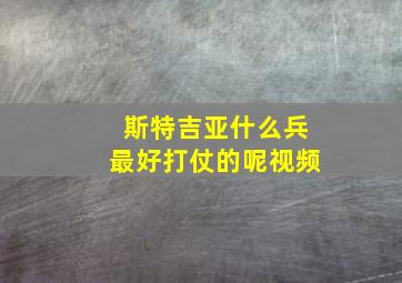 斯特吉亚什么兵最好打仗的呢视频