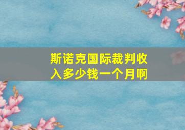 斯诺克国际裁判收入多少钱一个月啊