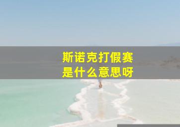 斯诺克打假赛是什么意思呀