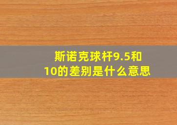 斯诺克球杆9.5和10的差别是什么意思