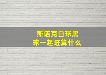 斯诺克白球黑球一起进算什么