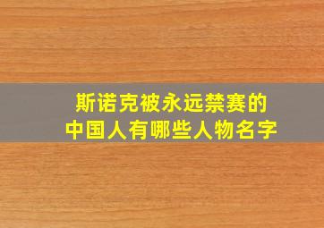 斯诺克被永远禁赛的中国人有哪些人物名字