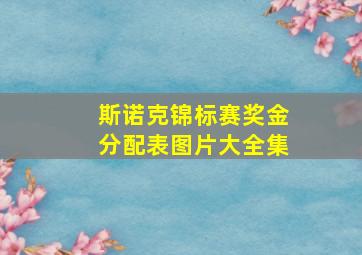 斯诺克锦标赛奖金分配表图片大全集