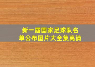 新一届国家足球队名单公布图片大全集高清