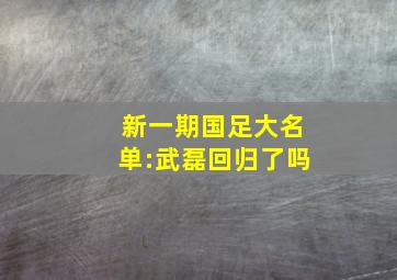 新一期国足大名单:武磊回归了吗