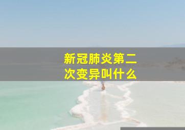 新冠肺炎第二次变异叫什么