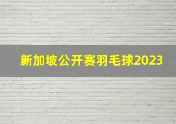 新加坡公开赛羽毛球2023