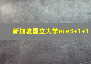 新加坡国立大学ece3+1+1