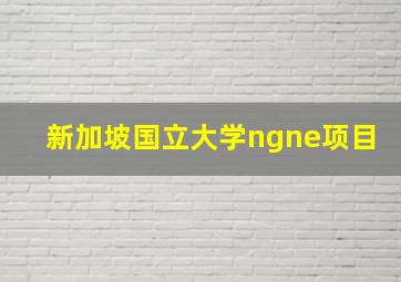 新加坡国立大学ngne项目