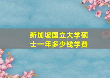 新加坡国立大学硕士一年多少钱学费