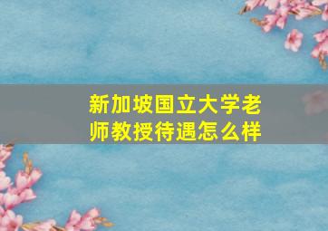 新加坡国立大学老师教授待遇怎么样