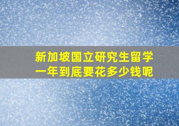 新加坡国立研究生留学一年到底要花多少钱呢