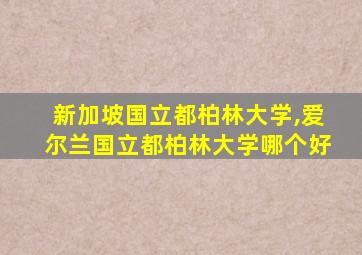 新加坡国立都柏林大学,爱尔兰国立都柏林大学哪个好