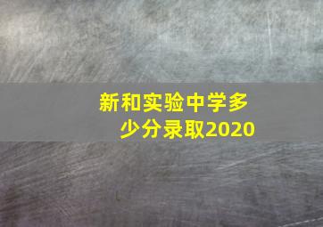 新和实验中学多少分录取2020