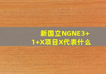 新国立NGNE3+1+X项目X代表什么