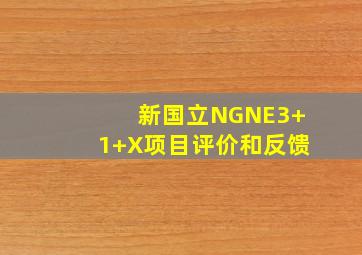 新国立NGNE3+1+X项目评价和反馈