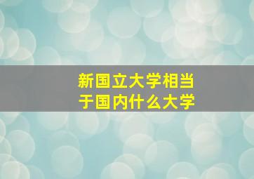 新国立大学相当于国内什么大学