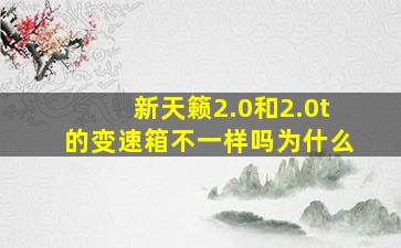 新天籁2.0和2.0t的变速箱不一样吗为什么