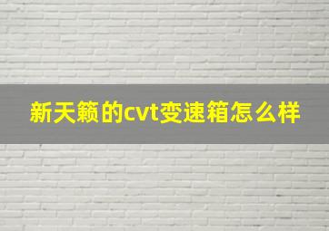 新天籁的cvt变速箱怎么样