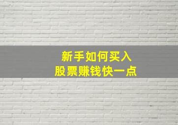 新手如何买入股票赚钱快一点