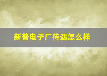 新普电子厂待遇怎么样