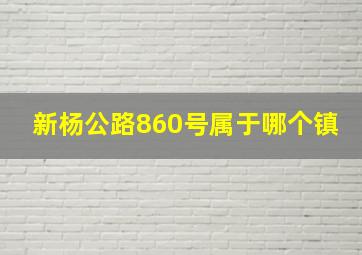 新杨公路860号属于哪个镇