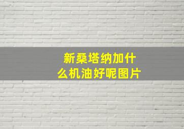 新桑塔纳加什么机油好呢图片