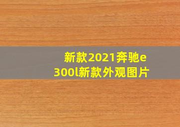 新款2021奔驰e300l新款外观图片